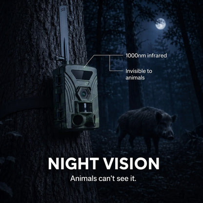 Caméra de Chasse 4G 4K