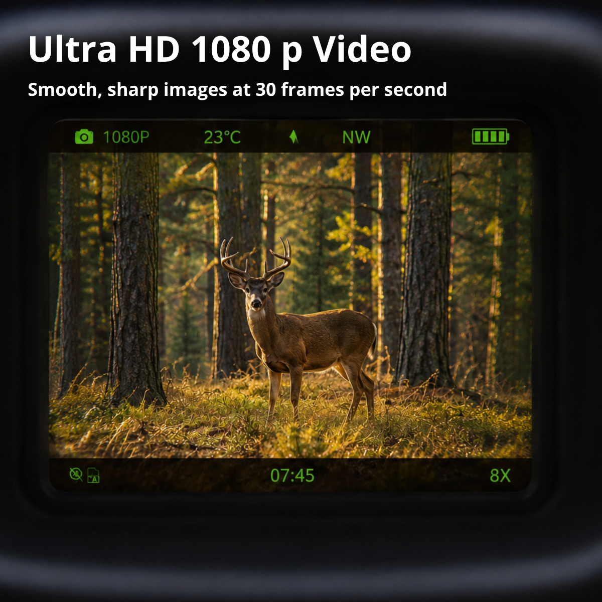 Jumelles Vision Nocturne HD